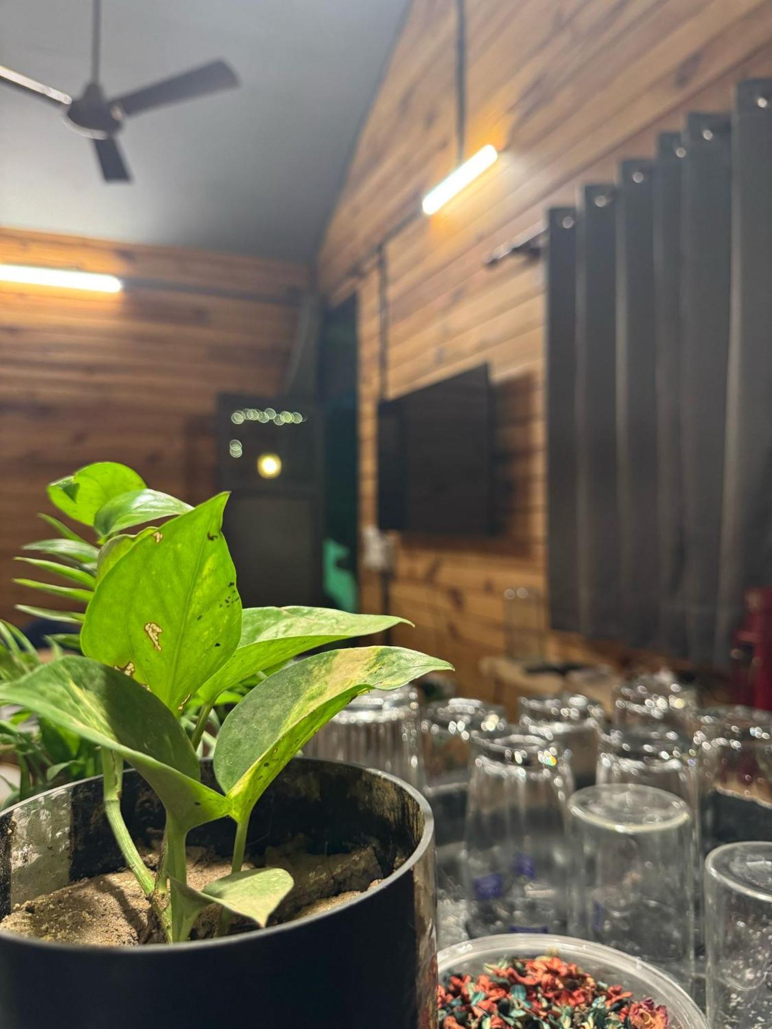 The Nirvana Nest 古尔冈 外观 照片